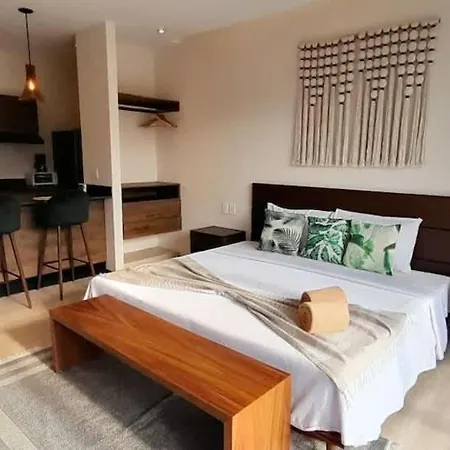 Tulum Hyde Home Office Master King Suite With Common Rooftop Pool Gym Wfi